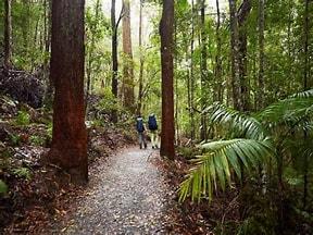 WALK WITH NATURE